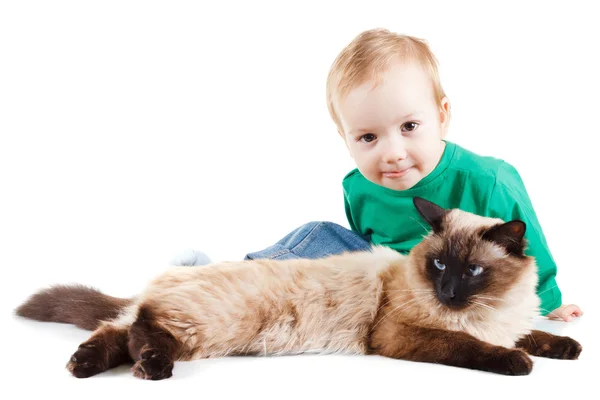 Menino com gato balinês isolado em branco — Fotografia de Stock