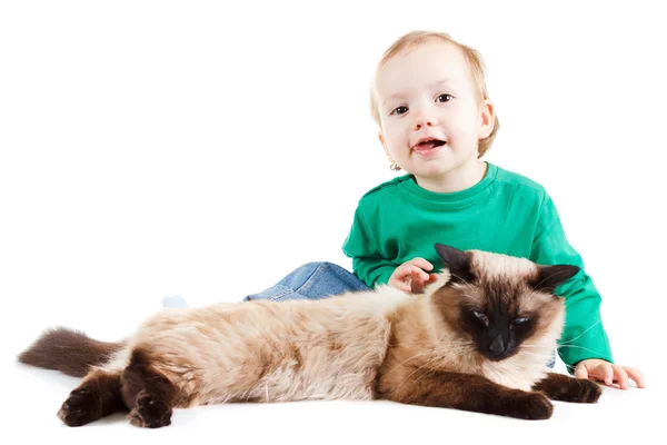 Menino com gato balinês isolado em branco — Fotografia de Stock