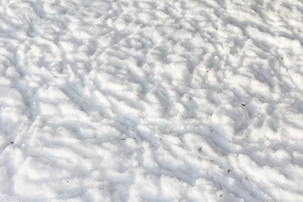 雪の上のトレース — ストック写真