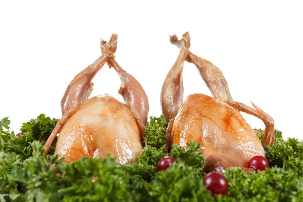 Carcasses of quail roasted with cranberry and parsley — Stock Photo, Image