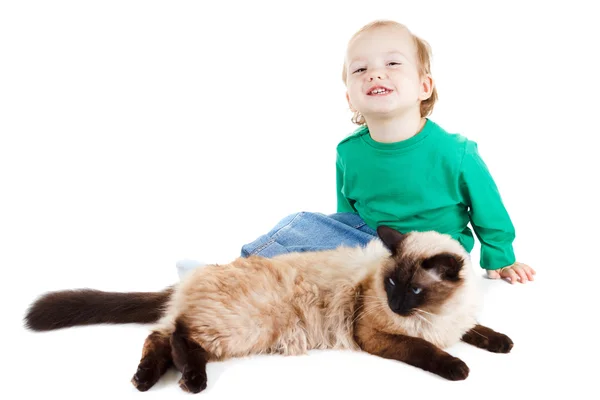 Menino com gato balinês isolado em branco — Fotografia de Stock