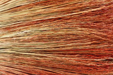 Arka plan süpürge portre