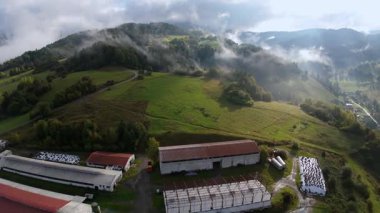 Çiftlik sabahı sisi, Misty Hills çiftlik hayatını ortaya çıkardı, sabah sisi canlı kırsal tarım manzarasını ortaya çıkardı, sabahın erken saatlerinde sisli tepeleri olan canlı ve canlı kırsal tarım alanını ortaya çıkardı.