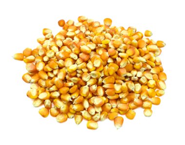 Beyaz arkaplanda izole edilmiş sarı mısır taneleri