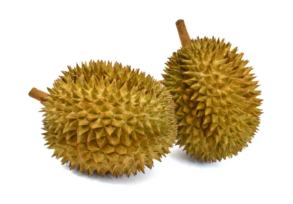 Rey Frutas Durian Aislado Sobre Fondo Blanco Imágenes de stock libres de derechos