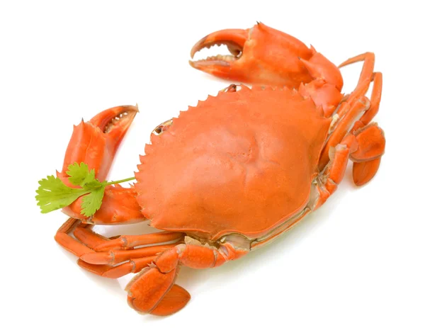 buharda pişmiş Yengeç