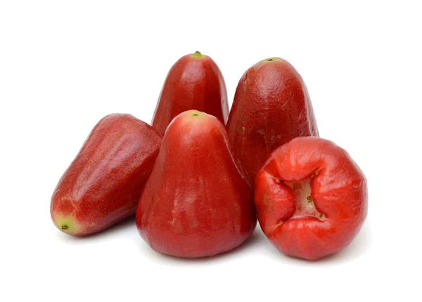 Beyaz arka plan üzerinde Malay elma ya da Syzygium malaccense