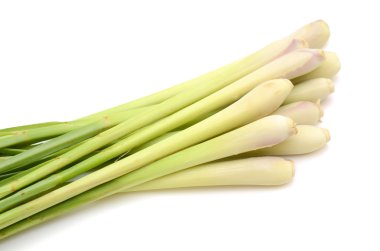 Beyaz arkaplanda taze limon otu izole edildi