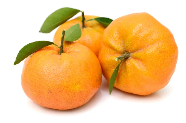 Strappare mandarini con foglie isolate su sfondo bianco — Foto Stock