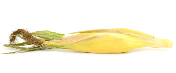 Corn frukter isolerad på vit bakgrund — Stockfoto