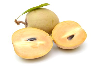 yaprakları ile taze sapodilla