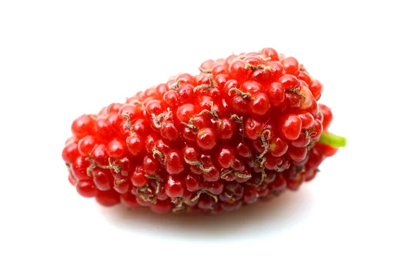Frutta di gelso — Foto Stock