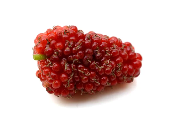 Mulberry fruit — Stock Photo, Image