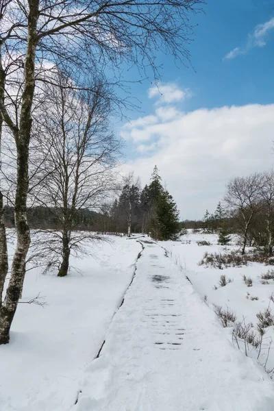 Hautes Fagnes Belgique Avril 2021 Les Hautes Fagnes Forment Une — Photo