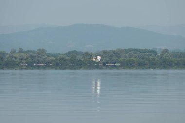 Kerkini Gölü, Yunanistan, 13 Temmuz 2021: Pelikanlar Pelecanus cinsini oluştururlar, Pelecanidae familyasının sekiz canlı türü olan tek temsilcisi..