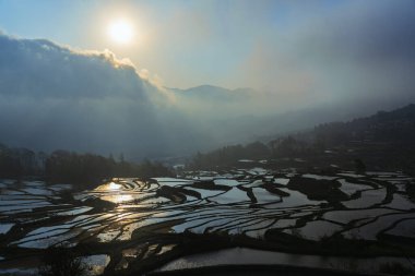 Siste teraslar (yuanyang terasları, yunnan, Çin)