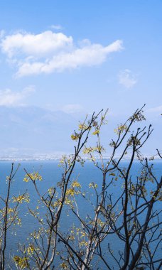 Lakeside View 3 (dali, yunnan, Çin)