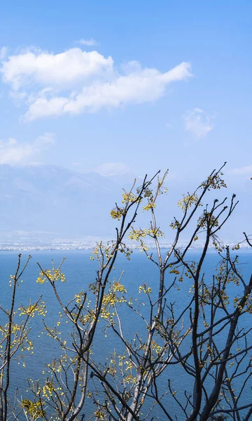 Vue Sur Lac Dali Yunnan Chine — Photo