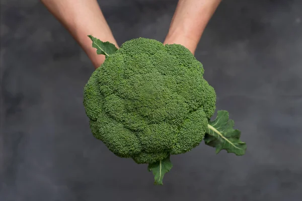 Caucasian Male Hands Holding Fresh Green Broccoli Isolated Gray Stone — Stock Photo, Image