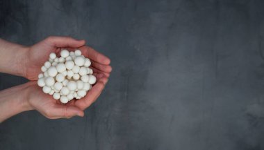 Adamın elindeki beyaz mantarlar gri arka planda izole edilmiş. Taş arkaplan.