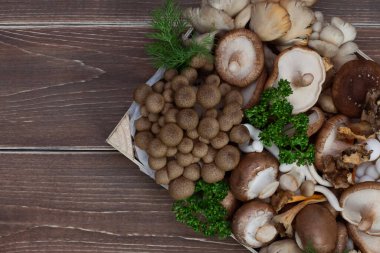 Ahşap tahta bir kutunun içinde pişirilmemiş vahşi orman mantarlarının çeşitliliği. Üst görünüm.