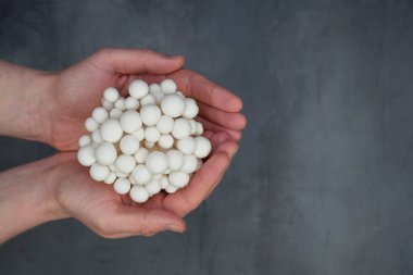 Gri arka planda beyaz mantarlar var..