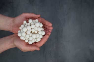 Adamın elindeki beyaz mantarlar gri arka planda izole edilmiş. Taş arkaplan.