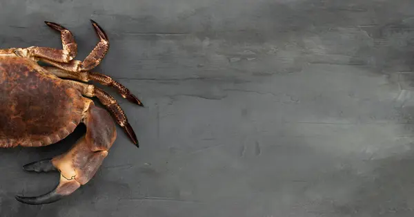 Moitié Gros Crabe Brut Sur Fond Béton Gris Fruits Mer — Photo