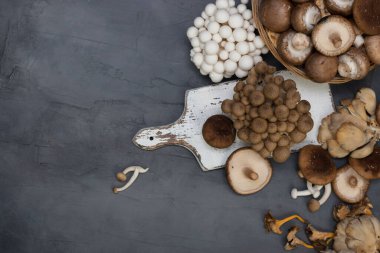 Çeşit çeşit pişirilmemiş orman mantarları. Üst görünüm.