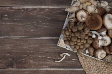 Ahşap tahta bir kutunun içinde pişirilmemiş vahşi orman mantarlarının çeşitliliği. Üst görünüm.