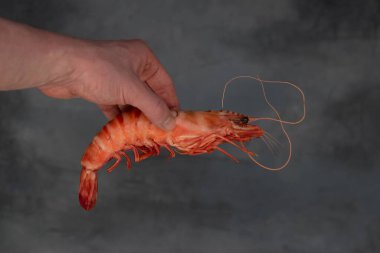 Elleri karidesleri tutuyor, büyük karidesler ellerinde..