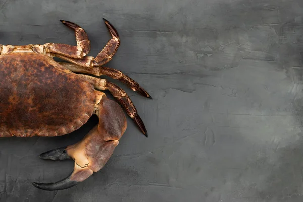 Hälften Stor Krabba Grå Betong Bakgrund Bakgrund Till Skaldjur Närbild — Stockfoto