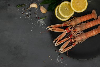 Siyah tabakta kaynamış Langoustines gri beton masada izole edilmiş. Limon ve baharatlı otlarla servis edilir..