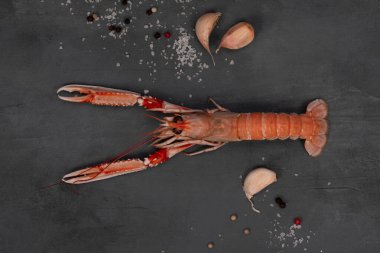 Lüks, kaynamış Langoustines. Langoustine 'i kapatın. Gri beton masada izole edilmiş. Üst görünüm.