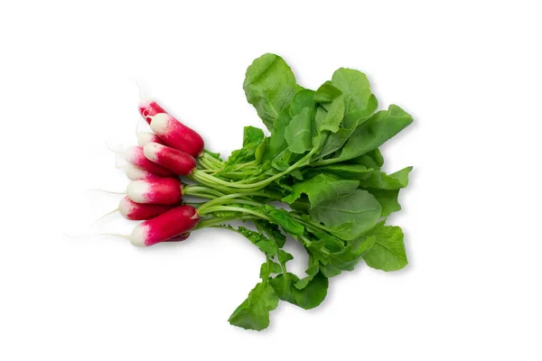 Φρέσκο Κόκκινο Ραπανάκι Κήπου Απομονωμένο Λευκό Φόντο Ωμό Vegan Υγιή — Φωτογραφία Αρχείου