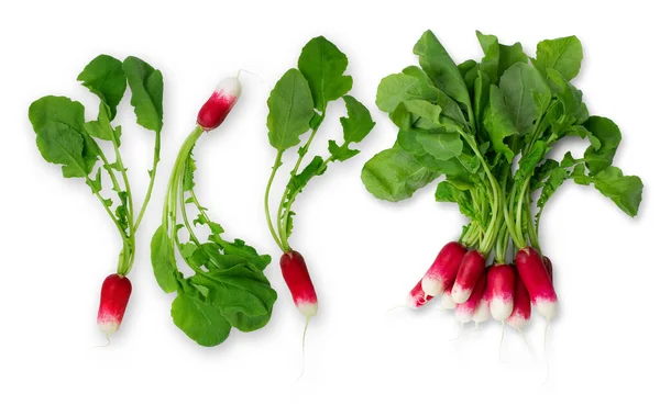 Φρέσκο Κόκκινο Ραπανάκι Κήπου Απομονωμένο Λευκό Φόντο Ωμό Vegan Υγιή — Φωτογραφία Αρχείου