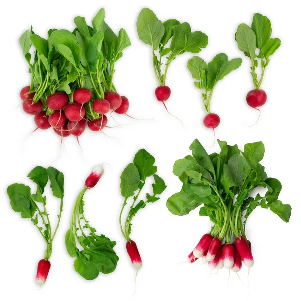 Fresh Red Garden Radish Isolated White Background Raw Vegan Healthy — Stock Photo, Image
