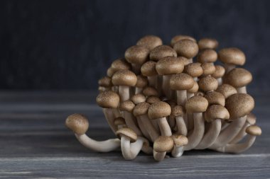 Koyu gri arka planda kahverengi kayın mantarı. Ahşap masa.