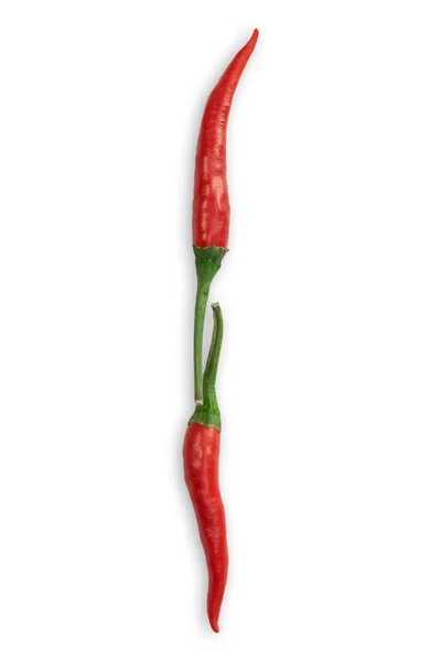 Betűtípus Made Hot Red Chili Pepper Isolated White Letter Chili — Stock Fotó