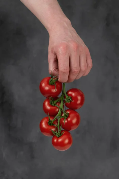 Los Agricultores Trabajan Con Tomates Recién Cosechados Joven Manos Sosteniendo —  Fotos de Stock