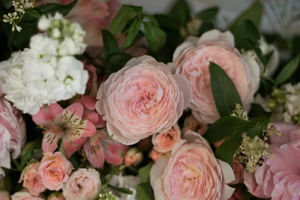 Закрыть Розовый Пион Свежими Цветками День Свадьбы — стоковое фото