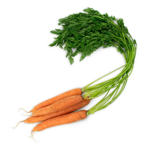 Bunch Orange Carrots Green Leaves Isolated White Fresh Vegetables — Stock Photo, Image