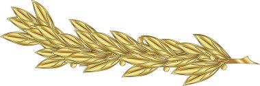 Beyaz bir arka planda, Altın Heraldik defne dalı. Vektör resmi.