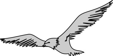 Yükselen bir kartal, beyaz arka planda uzanan kanatları olan bir şahin. Vektör resmi.