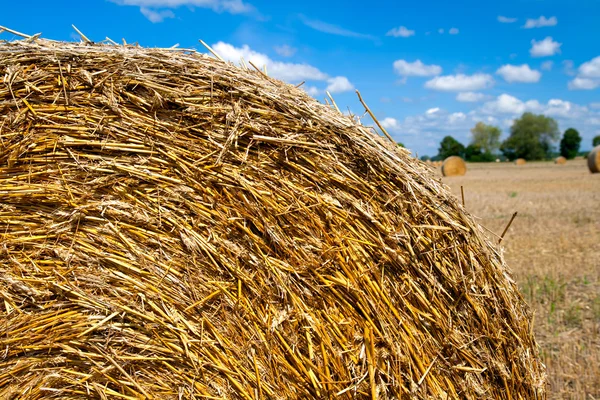 Bale of straw — Stock Photo, Image