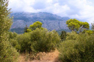 Biokovo Dağı aralığı