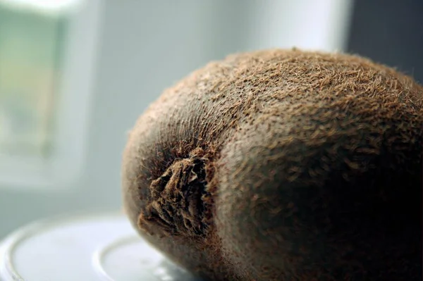 Güneş ışınlarının altında sulu bir kivi.