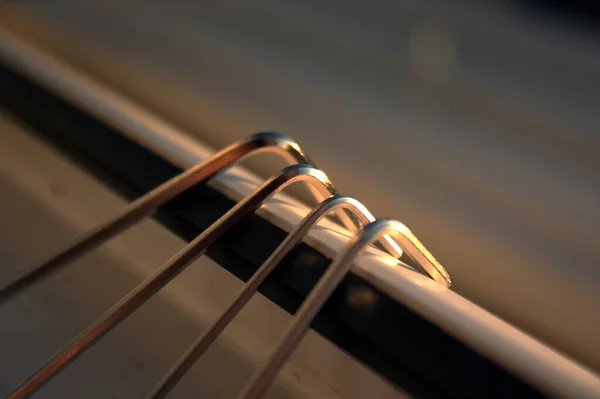 Altıgenler balkondan izliyor.