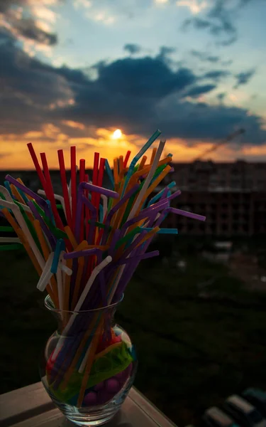 Alışılmadık bir buket, gün batımında güneşlenmek için.