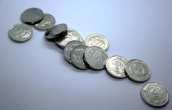 Ukrayna parası. Beyaz üzerine izole edilmiş beş Grivna Hrivnya yeni sikkesi. Ukrayna 'nın parası. Ukrayna ulusal para birimi. Yakın çekim